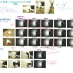 ソフトボックスアンブレラ(110cm)の研究（2020.08.14）