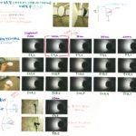 オクタゴンアンブレラソフトボックス(120cm)の研究（2020.08.20）