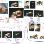 29種類のライティング研究_情熱的（2021.8.31）